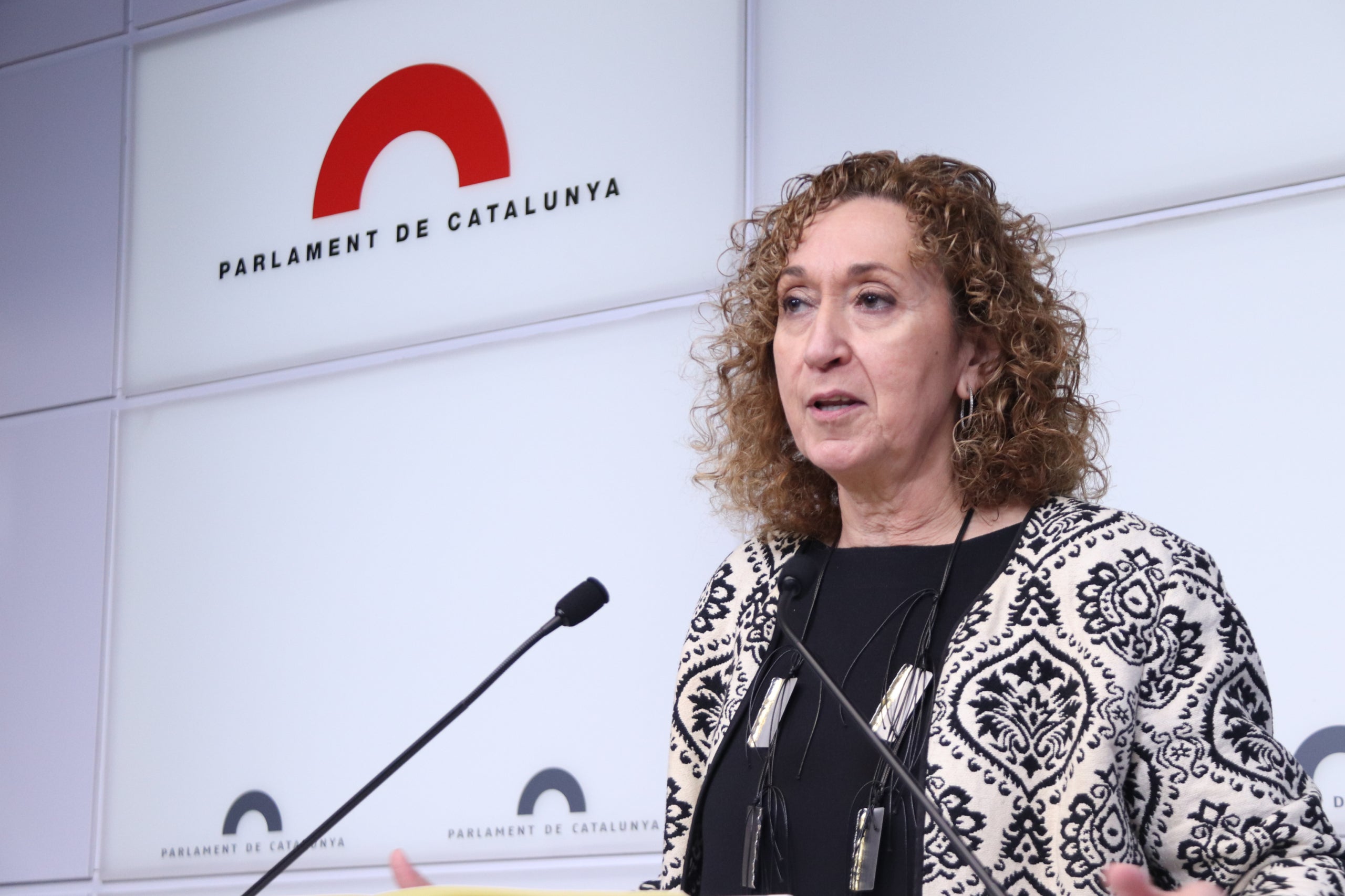 La portaveu d'ERC al Parlament, Ester Capella, en roda de premsa / ACN