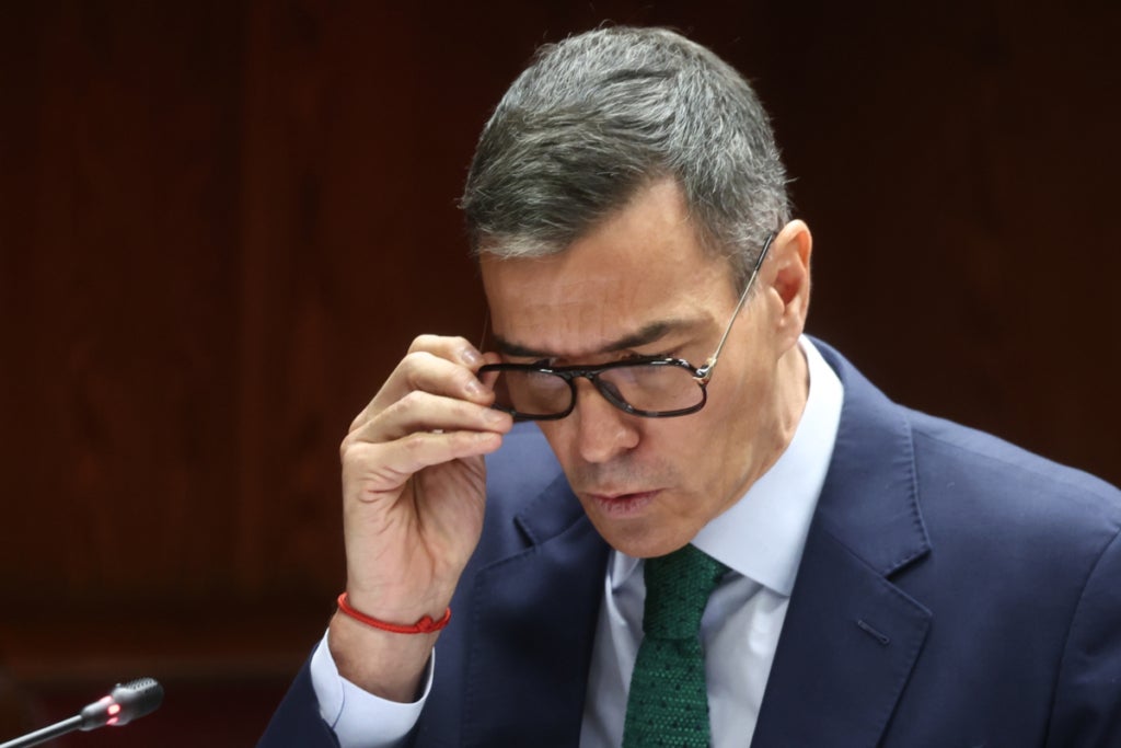 Pedro Sánchez, viral per un complement que no se l'havia vist mai - Europa Press