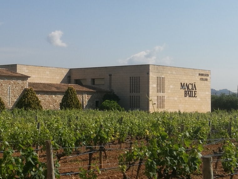 Macia Batle, celler  | M.R.F.
