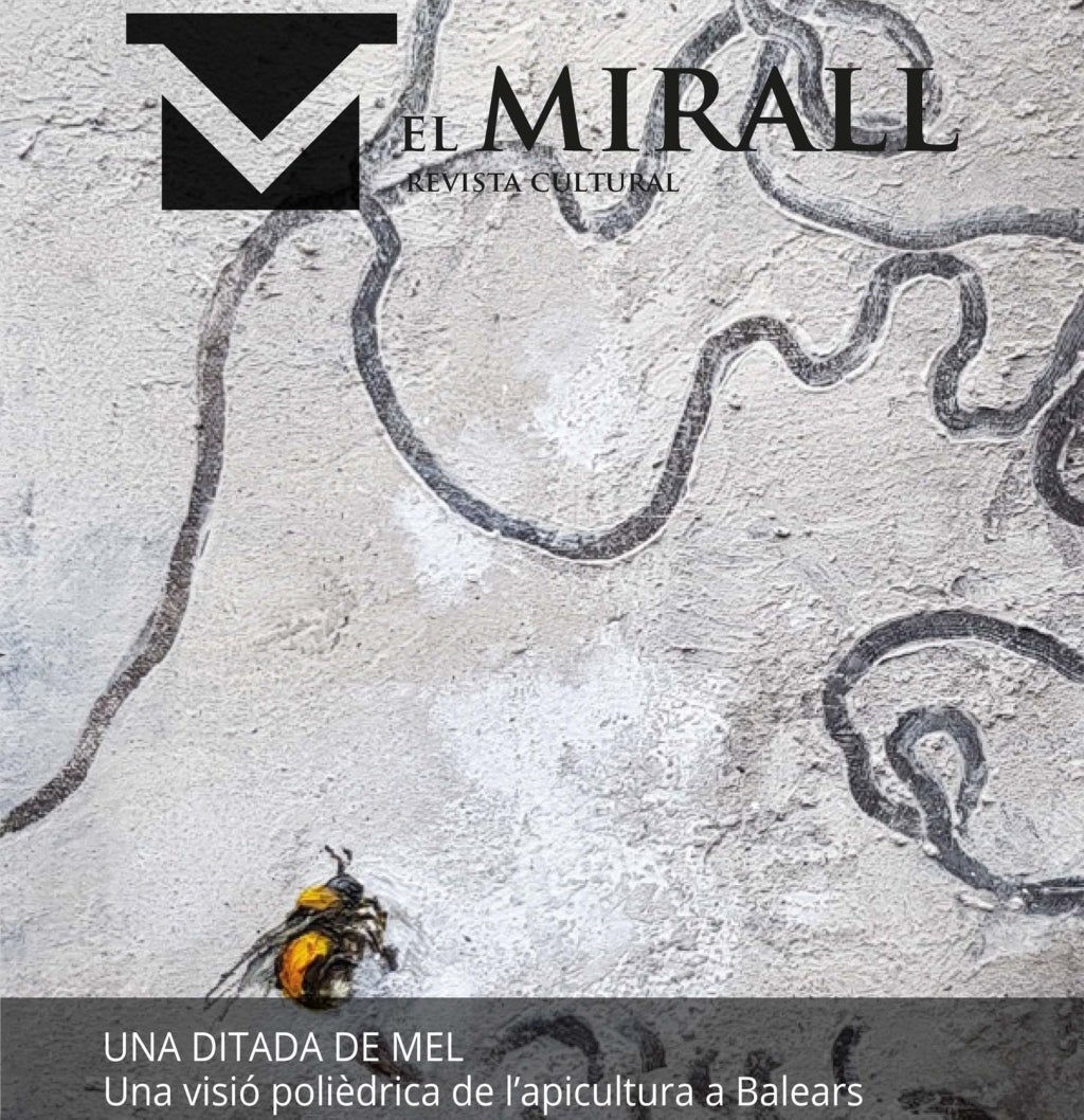 Portada El Mirall