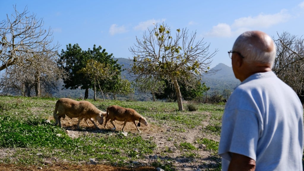 Guillem Pont, pagès de Ses Sitges i pioner en l’educació ambiental / Cedida APAEMA (pàgina web)