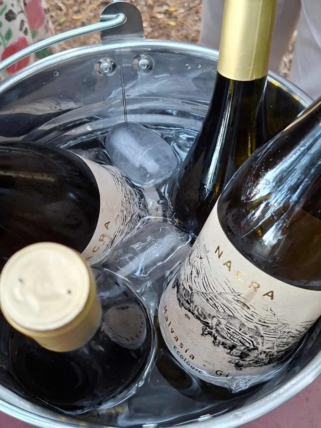 Els vins que fan al celler Nacra; Malvasia i Giró Ros / Cedida