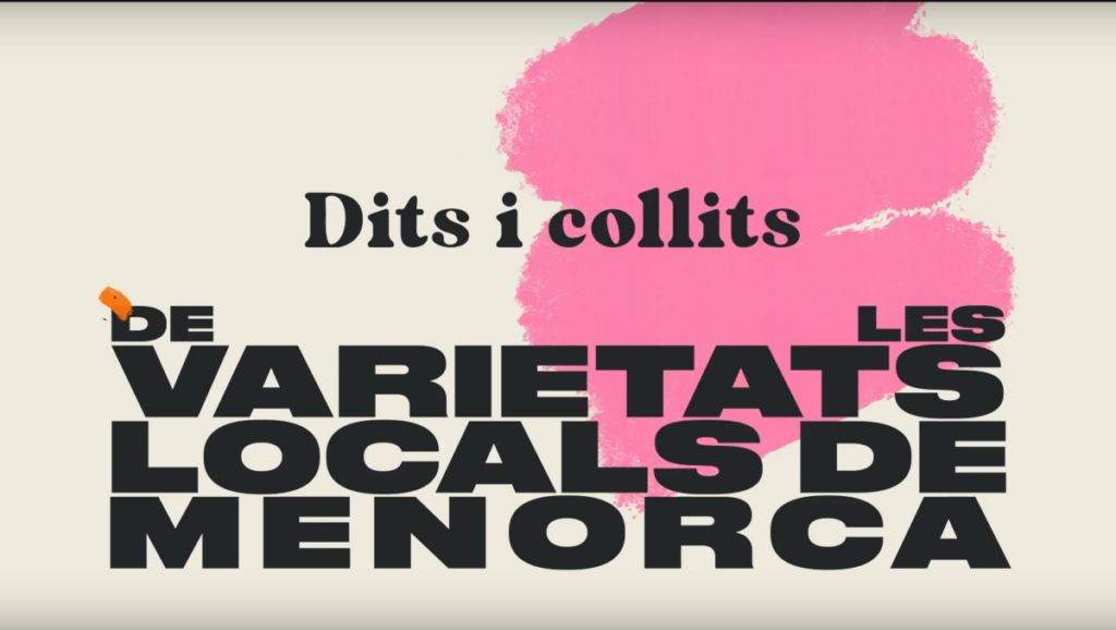 Car&agrave;tula dels v&iacute;deos informatius de varietats locals de Menorca anomenats 'Dits i Collits' / Cedida