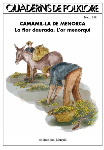 La recent publicaci&oacute; de 'Camamil&middot;la de Menorca. La flor daurada, l&rsquo;or menorqu&iacute;', el nou 'Quadern de Folklore' elaborat pel mestre artes&agrave; herbolari Marc Moll Marqu&egrave;s / Cedida