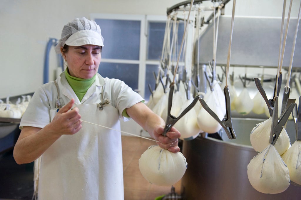 Una formatgeria de Menorca en ple proc&eacute;s de producci&oacute; / 