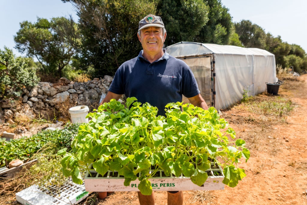 La Fira de Productes Agraris Ecol&ograve;gics de Menorca reivindica el valor dels productors locals / Cedida