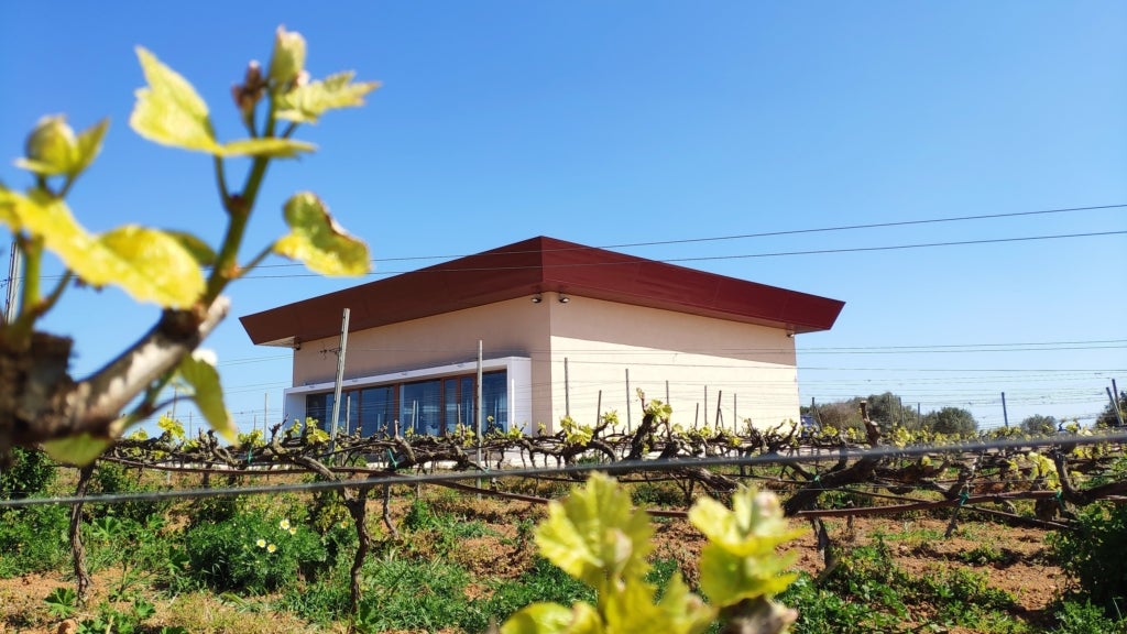 El celler Binitord, a Ciutadella / Cedida