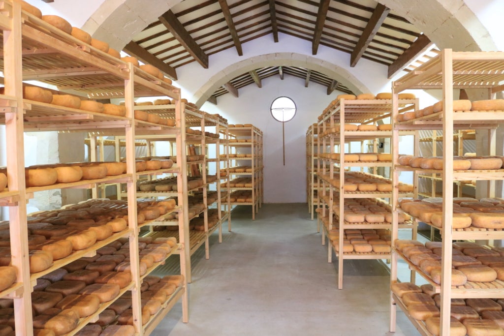 Formatges de la DOP Ma&oacute;-Menorca