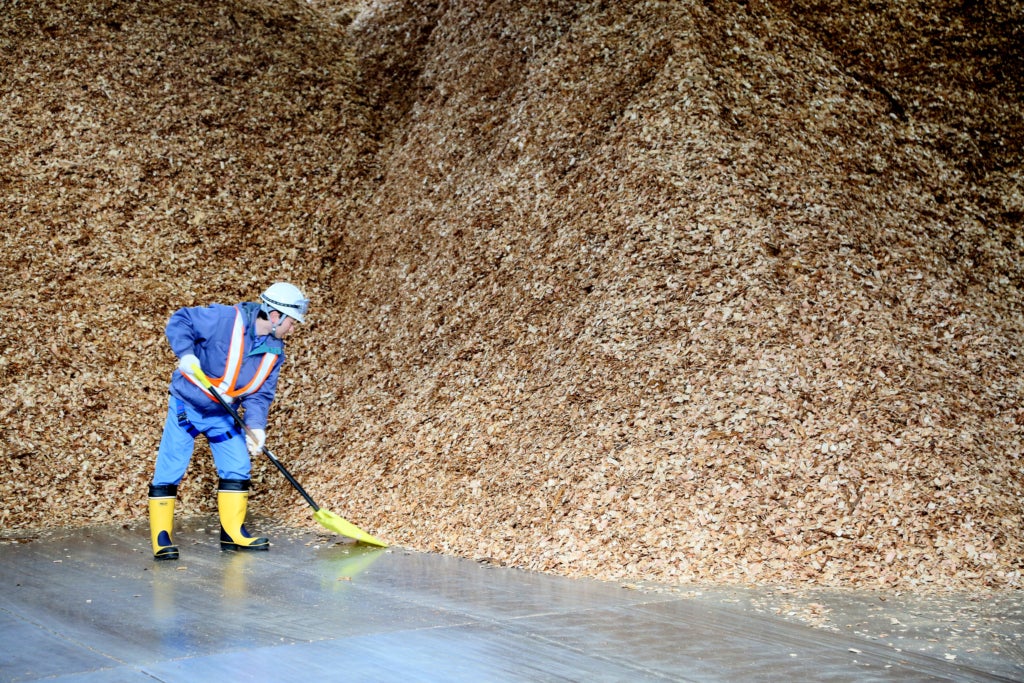 Veolia gestiona tota la cadena de subministrament de la biomassa a l'estat espanyol, des del bosc fins a les instal&middot;lacions finals / Veolia