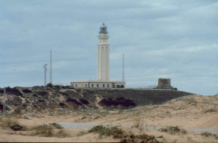 Barbate