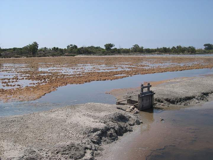 Santa Pola